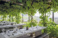Terasse des Winzerhaus mit einer schönen Aussicht und gedeckten Tischen
