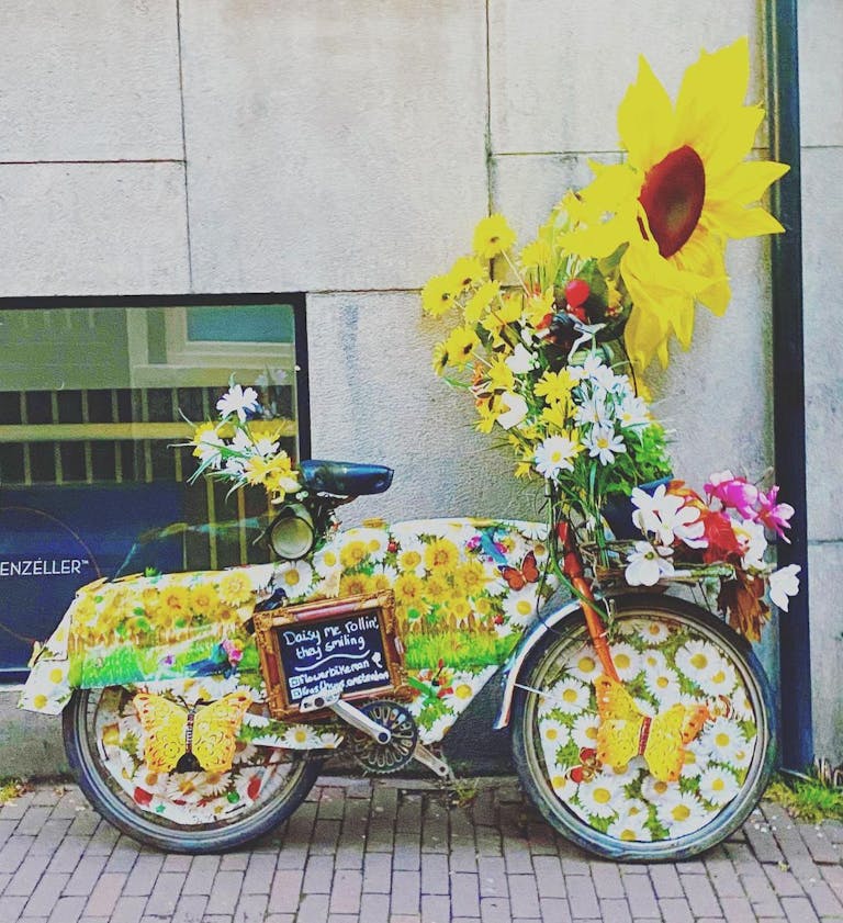 Photo by TravelSECRET GmbH in Amsterdam, Netherlands with @flowerbikeman. May be an image of bicycle, flower and outdoors.