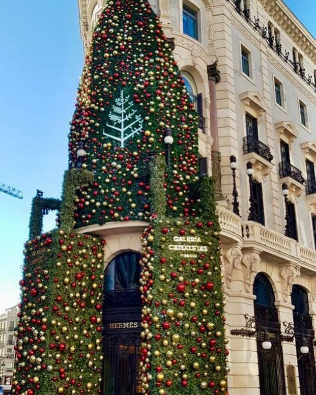 Photo by TravelSECRET GmbH in Madrid, Spain. May be an image of christmas tree and outdoors.