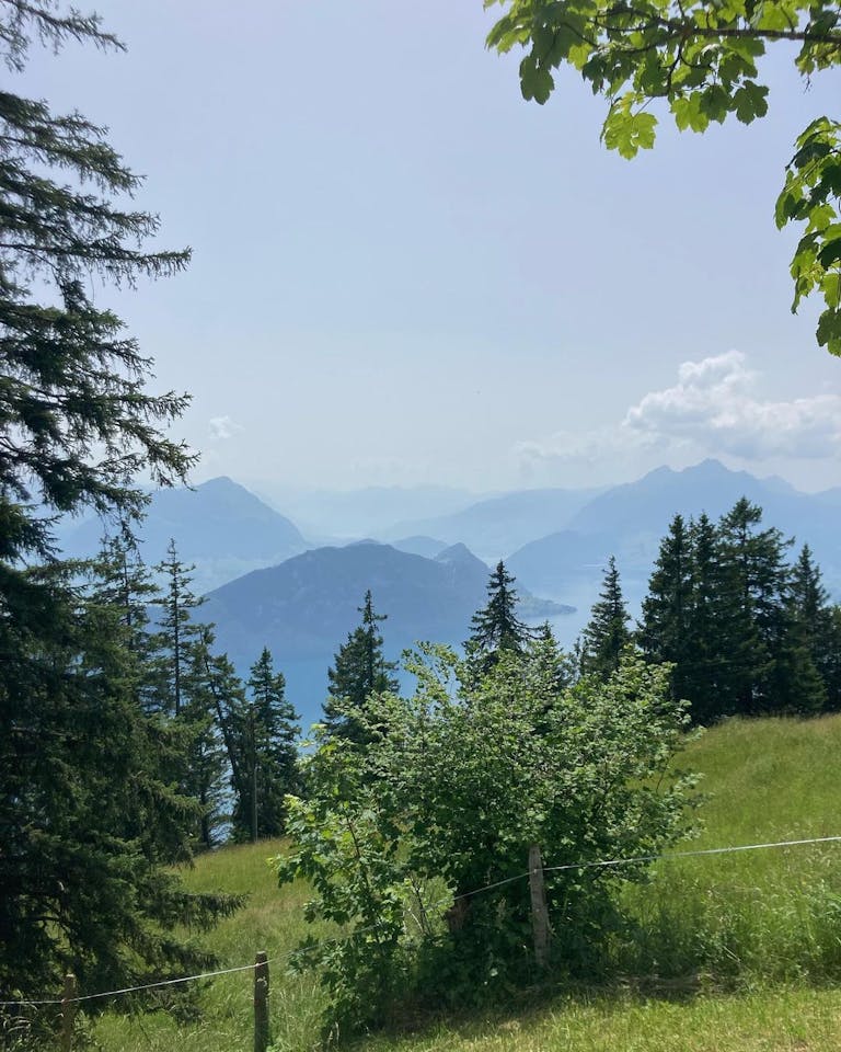 Photo by Hotel Rigi Kaltbad on June 21, 2022. May be an image of mountain, nature, sky and tree.