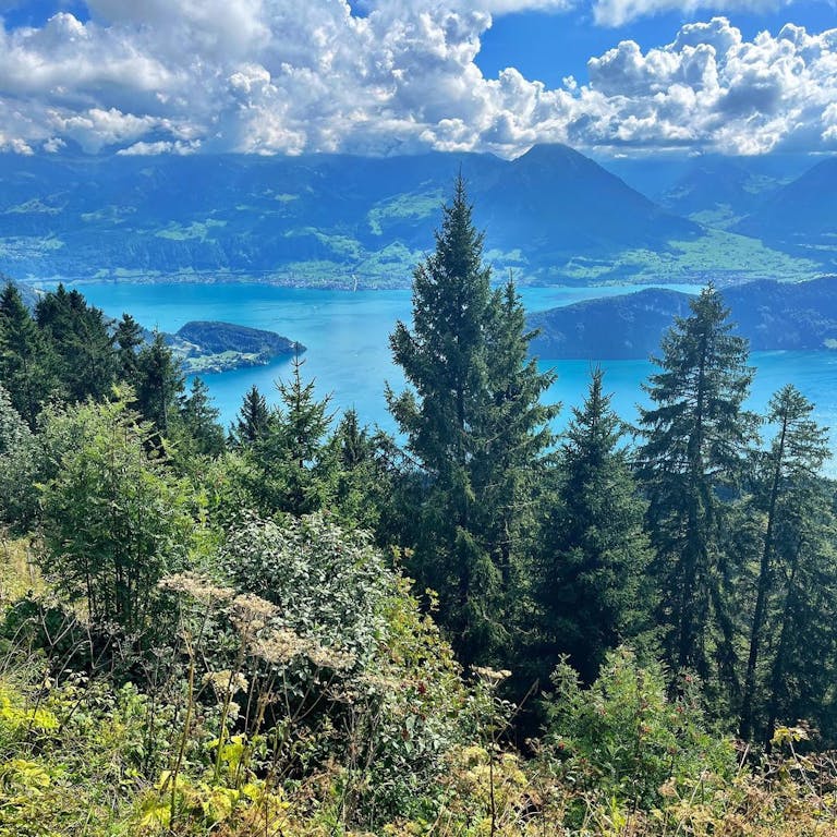 Photo by Léa Spirig in Rigi Kaltbad, Luzern, Switzerland with @myswitzerland, @rigi.ch, @visitswitzerland, @switzerland.ch, and @hotelrigikaltbad. May be an image of lake, tree and nature.