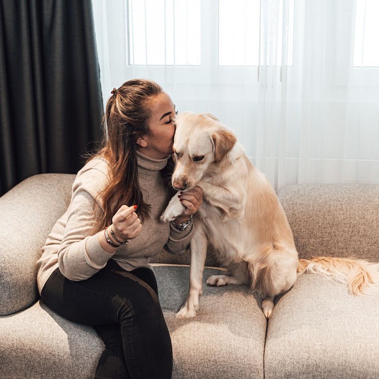 Photo by Hard Rock Hotel Davos in Hard Rock Hotel Davos with @myswitzerland, @hardrockcafe, @davosklosters, @switzerland.vacations, @visitswitzerland, @hardrockhotels, @switzerland.explores, and @hardrocktripper. May be an image of 1 person, dog and indoor.