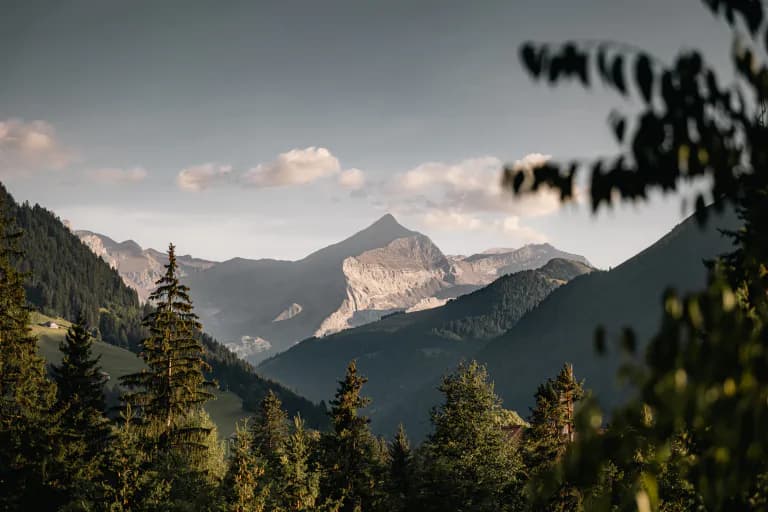 Deine Traumhochzeit - Fallback Bild